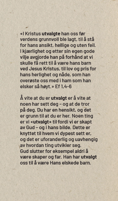 Lagslunsj - Utvalgt